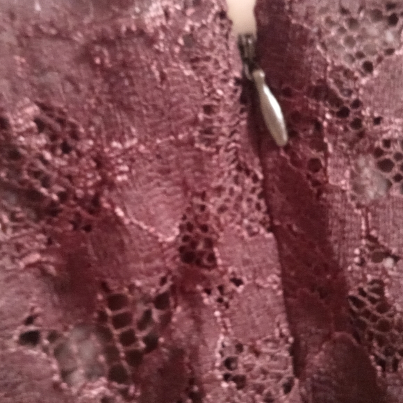 - Le Suit Petite, dark brown, size 16P, lace tank top, fully lined! - Picture 4 of 6